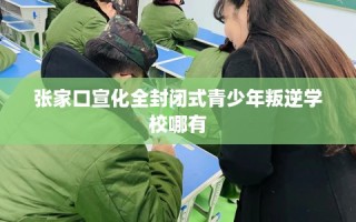张家口宣化全封闭式青少年叛逆学校哪有