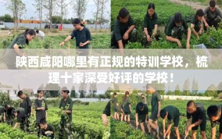 陕西咸阳哪里有正规的特训学校，梳理十家深受好评的学校！