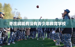 枣庄峄城有没有青少年教育学校