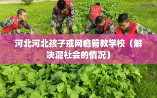 河北河北孩子戒网瘾管教学校（解决混社会的情况）