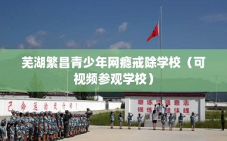 芜湖繁昌青少年网瘾戒除学校（可视频参观学校）