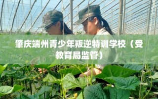 肇庆端州青少年叛逆特训学校（受教育局监管）