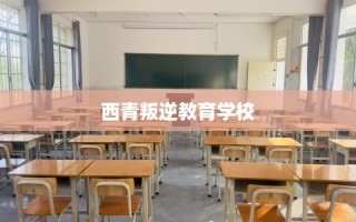 西青叛逆教育学校