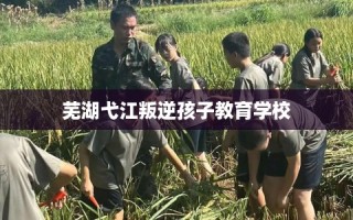 芜湖弋江叛逆孩子教育学校