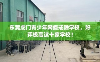 东莞虎门青少年网瘾戒除学校，好评极高这十家学校！