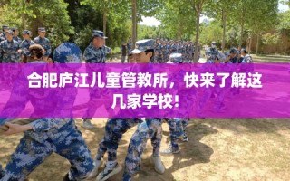 合肥庐江儿童管教所，快来了解这几家学校!
