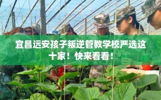 宜昌远安孩子叛逆管教学校严选这十家！快来看看！