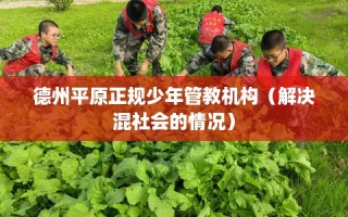 德州平原正规少年管教机构（解决混社会的情况）