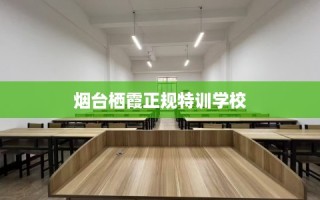 烟台栖霞正规特训学校
