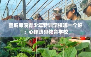 宣城郎溪青少年特训学校哪一个好：心理疏导教育学校