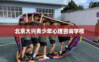 北京大兴青少年心理咨询学校