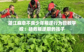 湛江麻章不良少年叛逆行为管教学校：拯救叛逆期的孩子