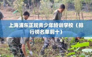 上海浦东正规青少年特训学校（排行榜名单前十）