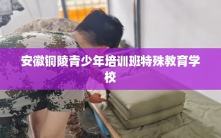 安徽铜陵青少年培训班特殊教育学校