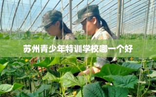 苏州青少年特训学校哪一个好