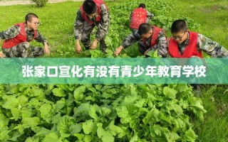 张家口宣化有没有青少年教育学校