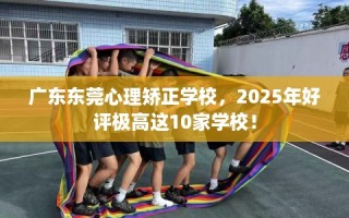 广东东莞心理矫正学校，2025年好评极高这10家学校！