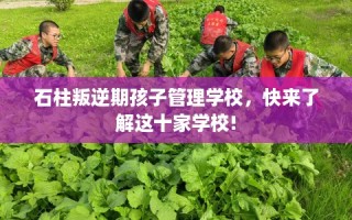 石柱叛逆期孩子管理学校，快来了解这十家学校!