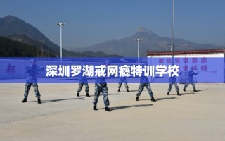 深圳罗湖戒网瘾特训学校