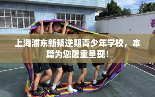 上海浦东新叛逆期青少年学校，本篇为您隆重呈现！
