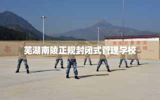 芜湖南陵正规封闭式管理学校