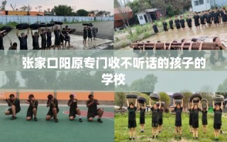 张家口阳原专门收不听话的孩子的学校