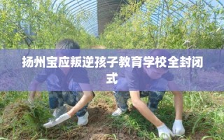 扬州宝应叛逆孩子教育学校全封闭式
