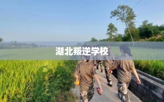 湖北叛逆学校