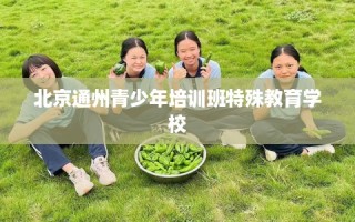 北京通州青少年培训班特殊教育学校
