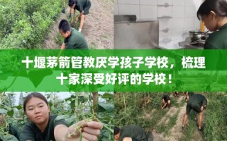 十堰茅箭管教厌学孩子学校，梳理十家深受好评的学校！