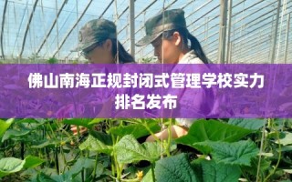 佛山南海正规封闭式管理学校实力排名发布