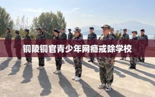 铜陵铜官青少年网瘾戒除学校