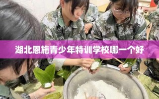 湖北恩施青少年特训学校哪一个好