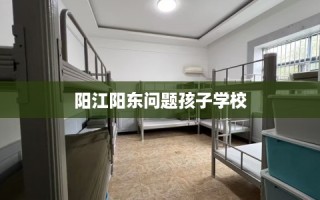 阳江阳东问题孩子学校