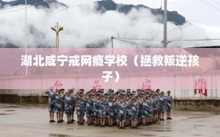 湖北咸宁戒网瘾学校（拯救叛逆孩子）