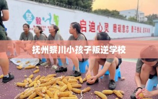 抚州黎川小孩子叛逆学校