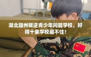 湖北随州叛逆青少年问题学校，好得十家学校藏不住！