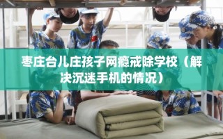 枣庄台儿庄孩子网瘾戒除学校（解决沉迷手机的情况）