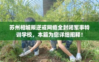 苏州相城叛逆戒网瘾全封闭军事特训学校，本篇为您详细阐释！