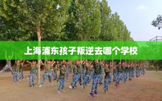 上海浦东孩子叛逆去哪个学校