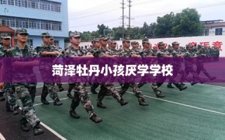 菏泽牡丹小孩厌学学校