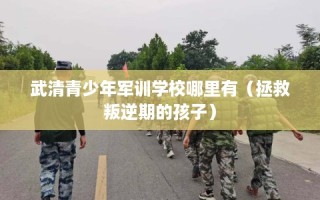 武清青少年军训学校哪里有（拯救叛逆期的孩子）