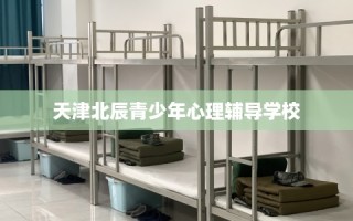 天津北辰青少年心理辅导学校