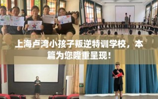 上海卢湾小孩子叛逆特训学校，本篇为您隆重呈现！
