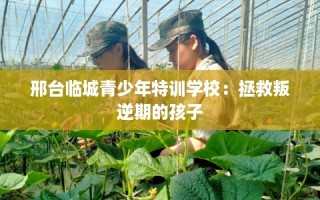 邢台临城青少年特训学校：拯救叛逆期的孩子
