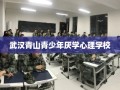 武汉青山青少年厌学心理学校