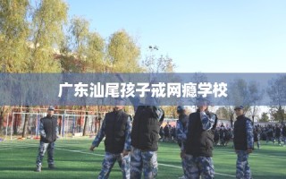 广东汕尾孩子戒网瘾学校