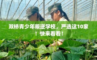 双桥青少年叛逆学校，严选这10家！快来看看！