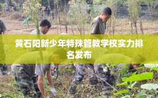 黄石阳新少年特殊管教学校实力排名发布