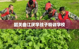 韶关曲江厌学孩子特训学校